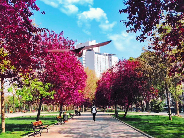 Istanbul’s Gülhane Park: Tulips and Traditions