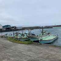 Tosashimizu Geopark: A Journey Through Time and Nature