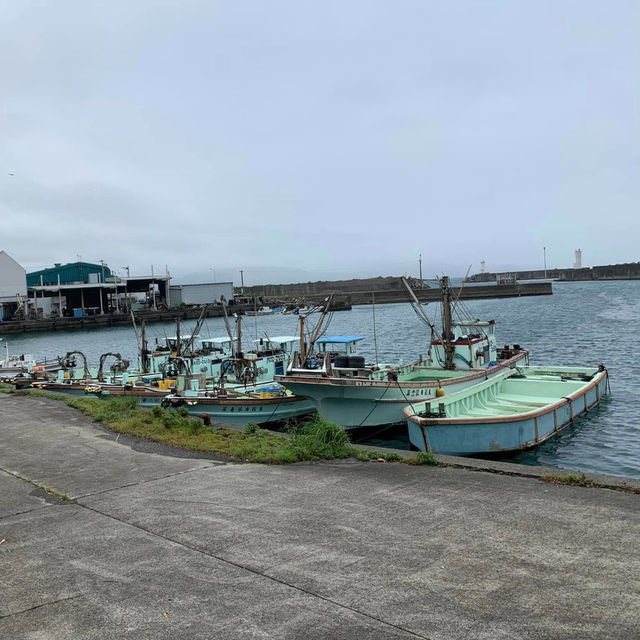 Tosashimizu Geopark: A Journey Through Time and Nature