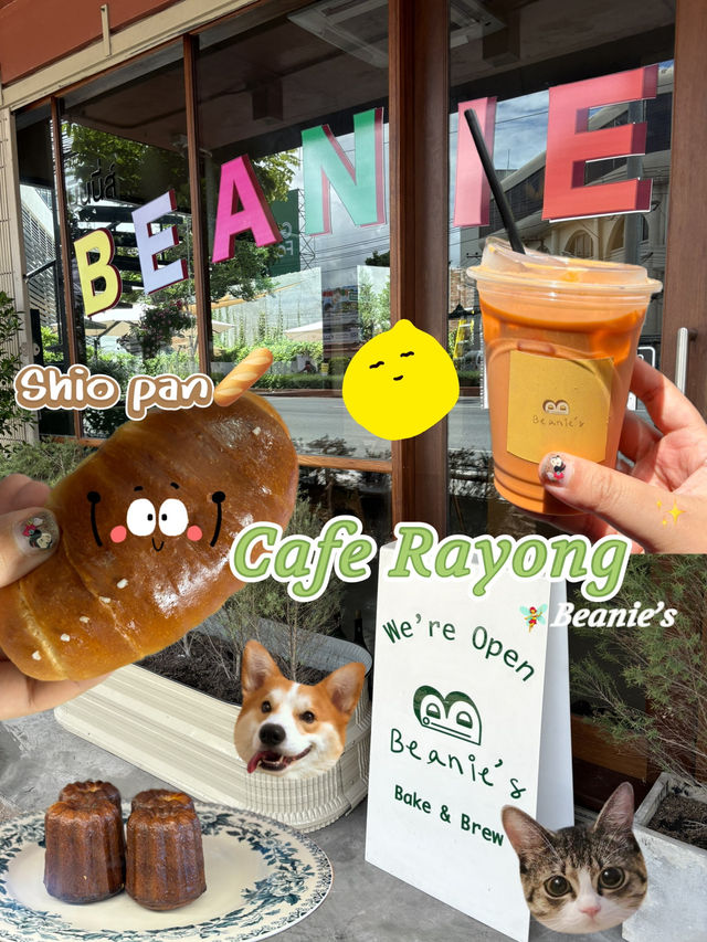 🌳🌸ป้ายยาร้านขนม Shio pan🥖 ในระยอง