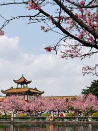 Blooming into Spring at Guangzhou’s Hidden Gem