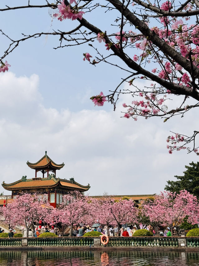 Blooming into Spring at Guangzhou’s Hidden Gem