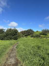 紐西蘭 ｜登奧克蘭伊甸山 Mount Eden Summit