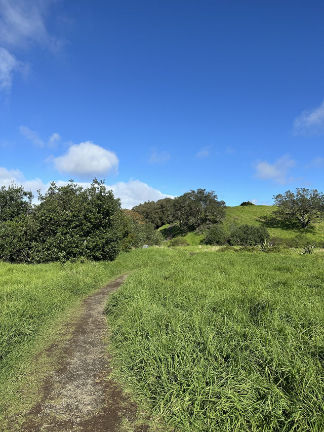 紐西蘭 ｜登奧克蘭伊甸山 Mount Eden Summit