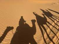 A Magical Journey into the Sahara 🐪🌍 