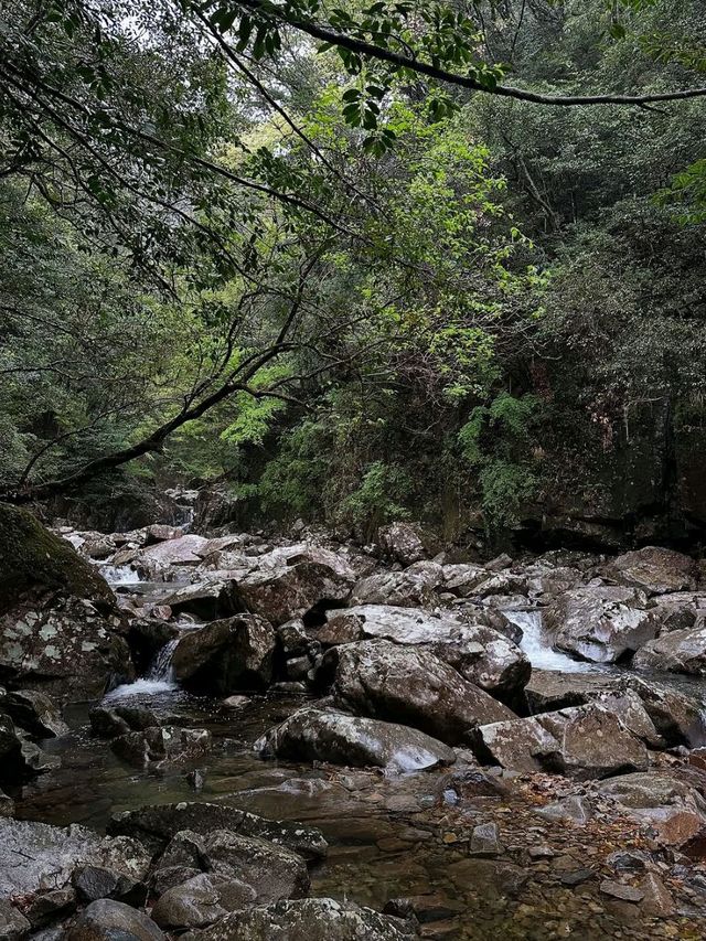 Mini Hike, Major Vibes