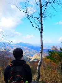 정선하이원가을하늘길트레킹여행🍁🍂