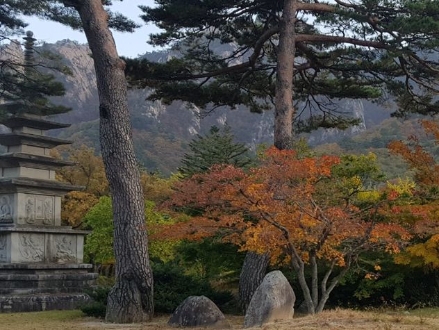 설악산과 강원도 바다
