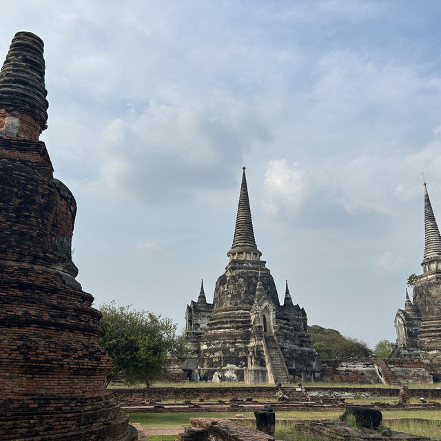 【アユタヤ🇹🇭】バンコクから90分！自然と歴史を感じる旅🌳