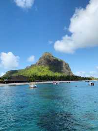 Unforgettable Boat Day in Le Morne: Dolphins, Snorkelling & Barbecue at Crystal Rock