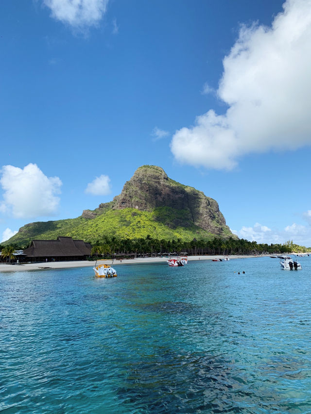 Unforgettable Boat Day in Le Morne: Dolphins, Snorkelling & Barbecue at Crystal Rock