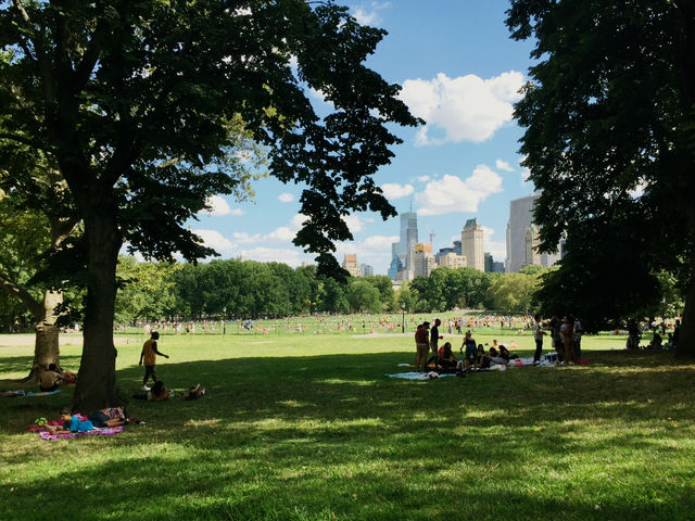 Central Park: NYC’s Urban Oasis
