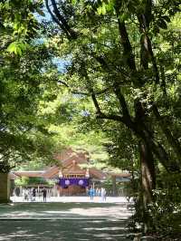 A Relaxing Day in Nagoya – Castles, Shrines & Strolling