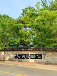 분위기 좋아요! 해바라기와 돌담길 구경🌻🌻
