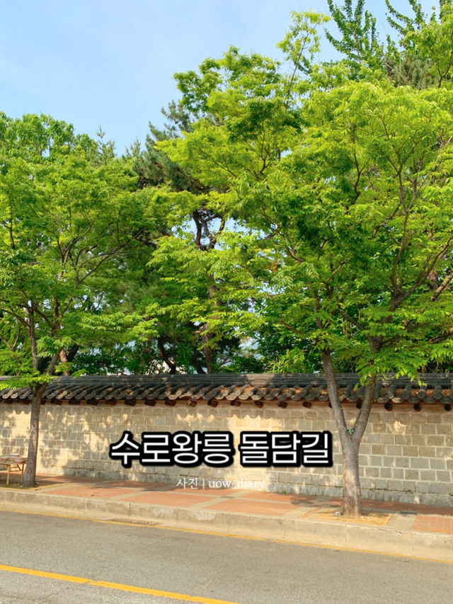 분위기 좋아요! 해바라기와 돌담길 구경🌻🌻