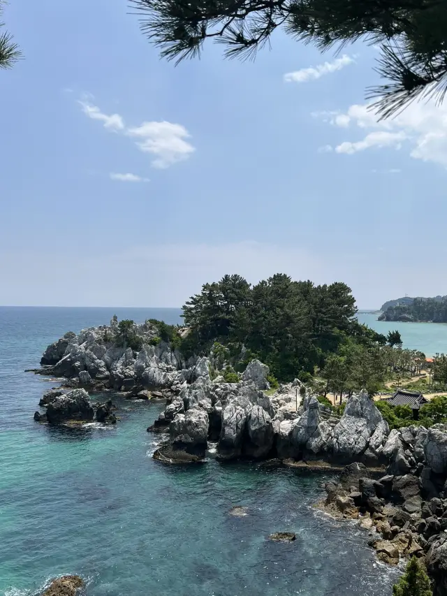 夏天、大海、綠意盎然