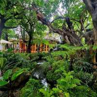 คาเฟ่สวนสวยในปั๊มน้ำมัน • FORTY-NINE เชียงใหม่