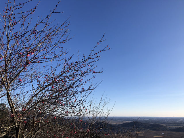 ☀️天気の良い日は筑波山へ⛰️