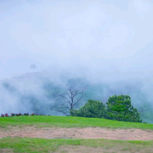 ลานกางเต็นท์บ้านสวนเอเดน