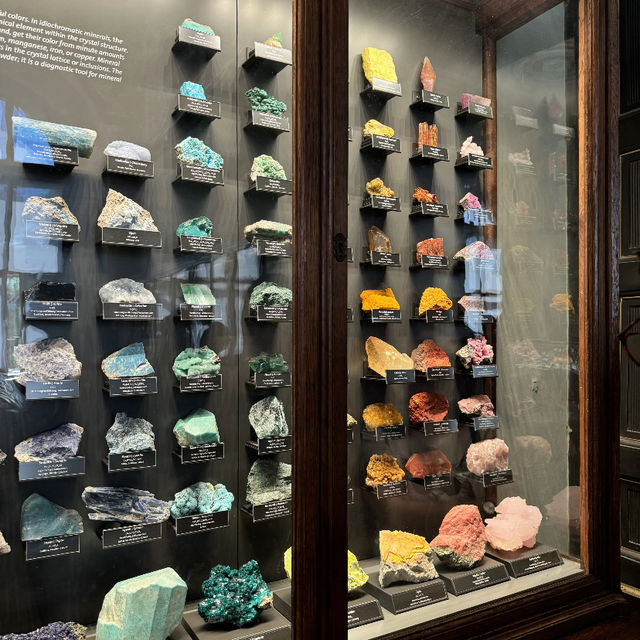 Great Summer Spot for Kids | Vienna Natural History Museum 🦕🔬🌿