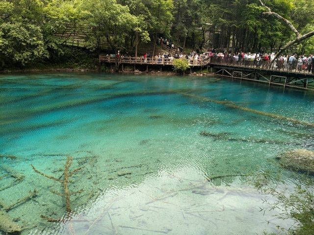 Solo Traveller Transportation Guide for JiuZhaiGou from Chengdu!
