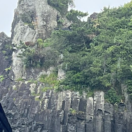 제주의 여름