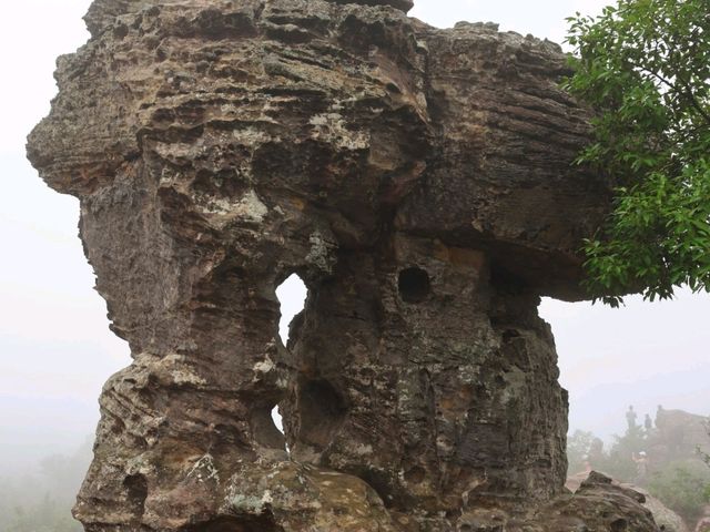 ลานหินงาม อุทยานแห่งชาติป่าหินงาม