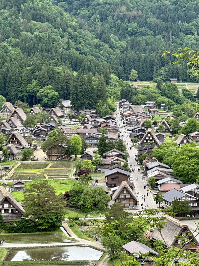 白川鄉之旅