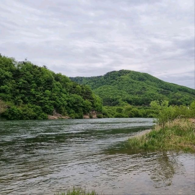 Chungju Forest & Hot Spring Feels