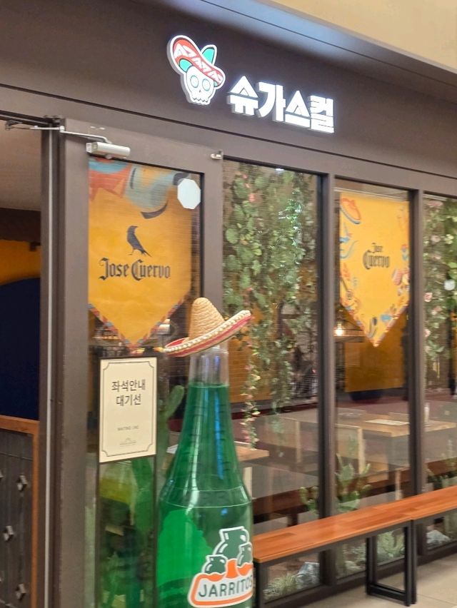 멕시코 감성 가득한 슈가스컬🌮🎉