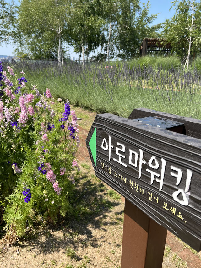 허브 천문 공원의 아로마 워킹