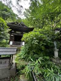 円覚寺って、“禅のお寺”って聞くけど…正直、何すればいいの？🇯🇵✈️🌎