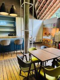 Pineyard: Where Pasta Meets Nature 