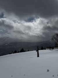 Book a backcountry tour