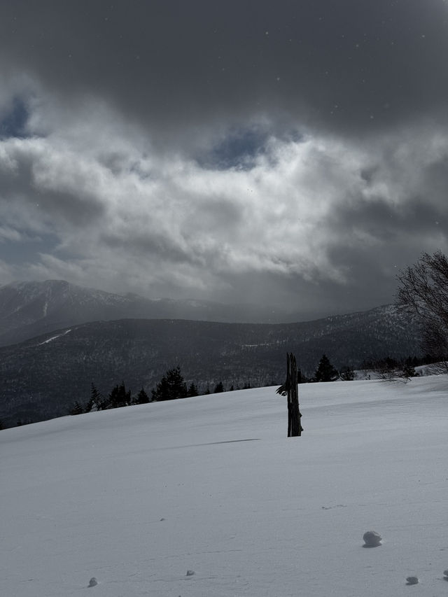 Book a backcountry tour