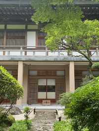  🌿【鎌倉・報国寺】竹林に包まれる静寂の時間、美しき“禅”の世界へ 