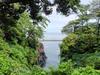 Self drive to experience Edo period traditions and sights to modern city