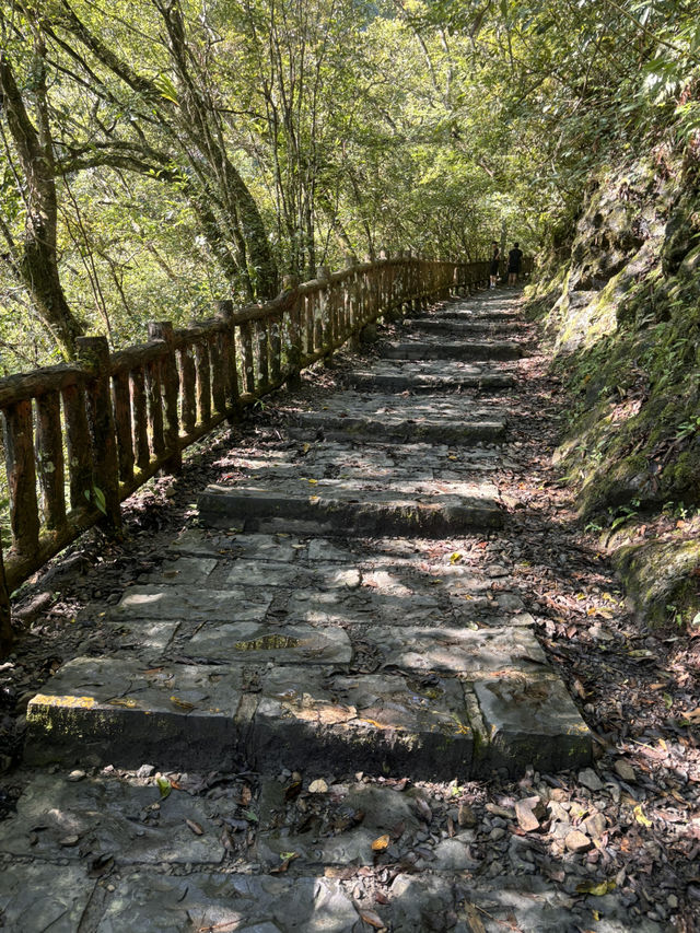 滿月圓森林公園｜新北三峽的清新綠洲，親近山林的最佳選擇