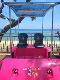 동해바다 오션뷰 레일바이크 즐기기⛱️