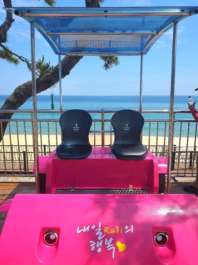 동해바다 오션뷰 레일바이크 즐기기⛱️