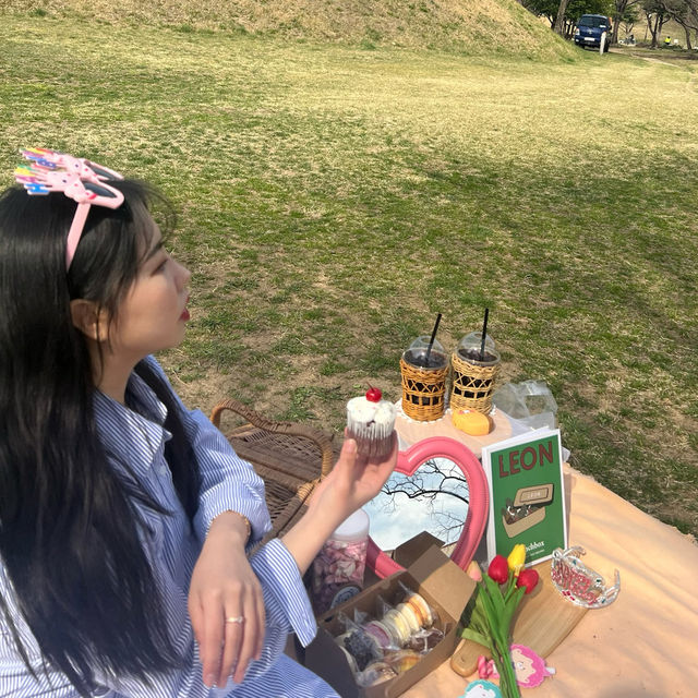 경주 피크닉 장소/물품대여/카페까지 정리!