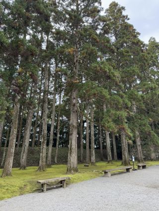 Beautiful Small Town Miyazaki