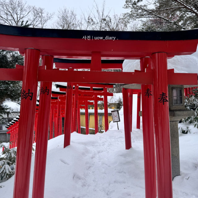 눈꽃 낭만 가득! 오타루 겨울여행 계획❄️☃️