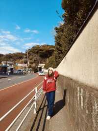 ✨Sweet Escape from Tokyo City Lights — Kamakura Day Out