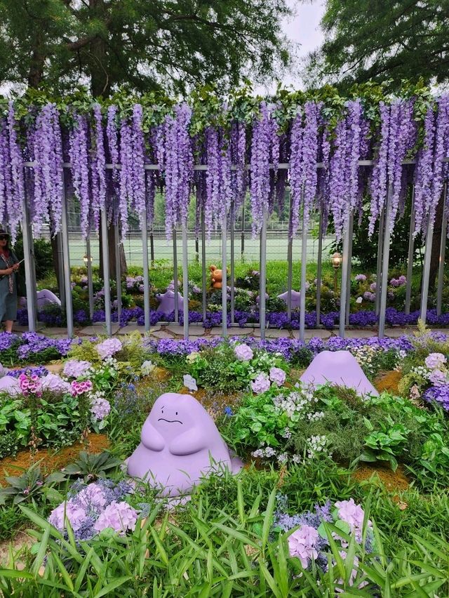 【ソウル🇰🇷】期間限定！メタモンガーデン🪻