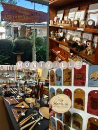 Sunshine Coast Escape: One-Day Trip to Montville & Mooloolaba🌿🌅