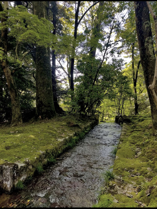 四季が彩る日本庭園🌸兼六園で心ほどけるひとときを