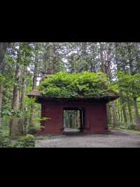 ⛩️長野・戸隠神社｜神秘の森に包まれた歴史あるパワースポット