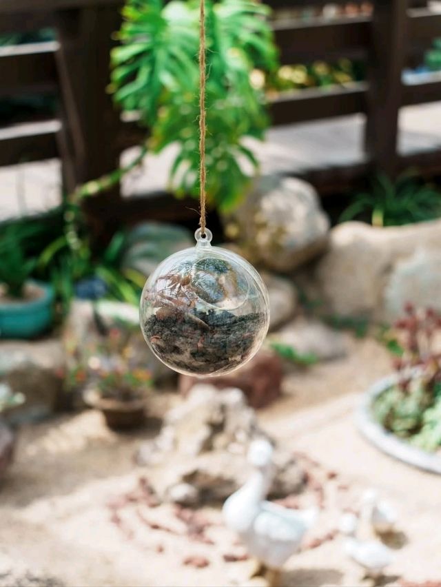 Rainforest Vibes Without the Flight at Geoje Jungle Dome