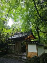 เที่ยวในเกียวโต จุดกำเนิดชาและมังงะของญี่ปุ่น
